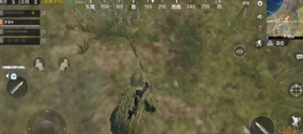 和平精英手游吃鸡特训岛吉利服在哪_和平精英如何在特训岛获取吉利服