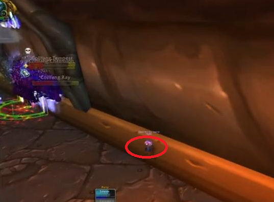 魔兽世界女亡灵能刷超级围栏吗