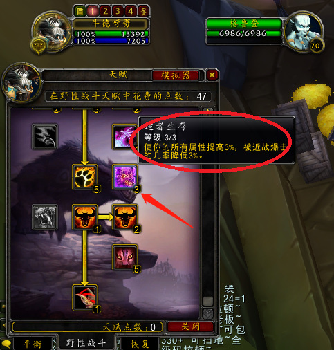 wowtbc熊t属性要求是什么