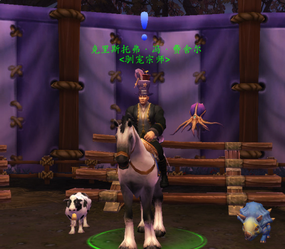 wow暗月马戏团宠物对战怎么打