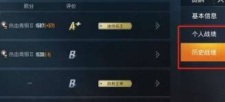 和平精英手游怎么隐藏战绩不让别人看到_怎样在和平精英中隐藏自己的战绩