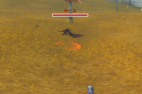 wow小蛋在哪买_魔兽世界如何购买小蛋