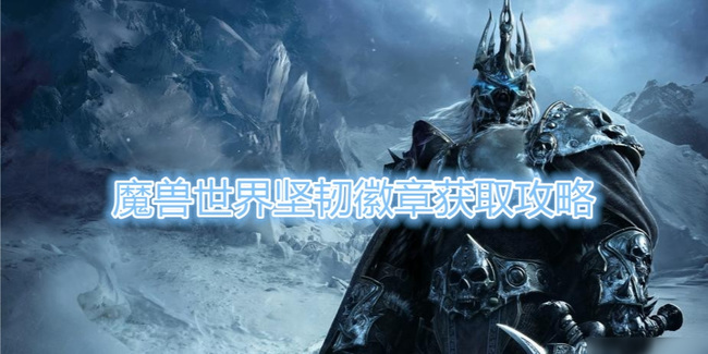 wow坚韧徽章打什么掉率高