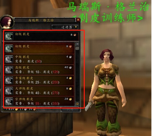 魔兽世界80级dk练什么专业