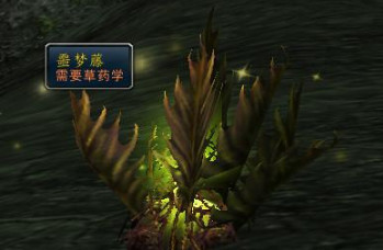 wow燃烧得远征70级法师哪里刷钱快_魔兽世界燃烧的远征最快法师赚金方法