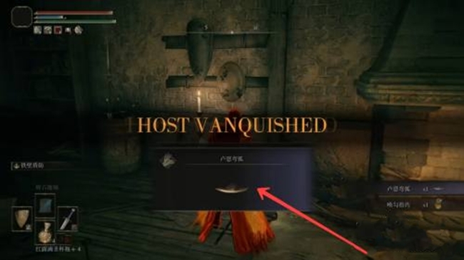 老头环怎么入侵指定人_艾尔登法环游戏中如何对指定人实施入侵