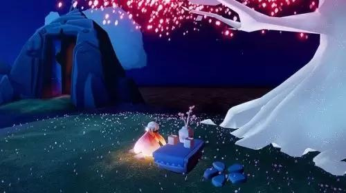 光遇手游雨林赏花在哪