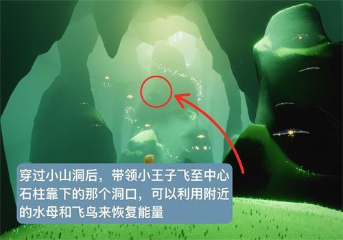 光遇手游雨林找到小王子怎么出去_光遇手游小王子如何离开雨林