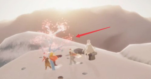 光遇手游霞谷中的花在哪里_寻找光遇中的花之旅