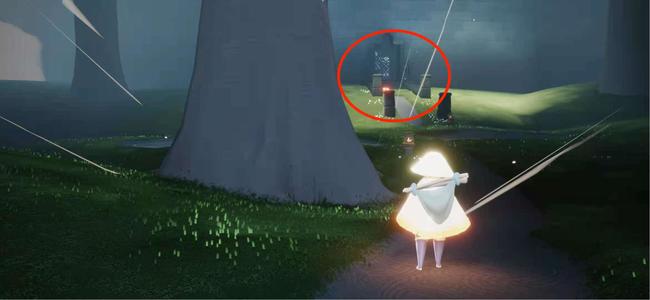 光遇手游荧光森林冥想在哪里