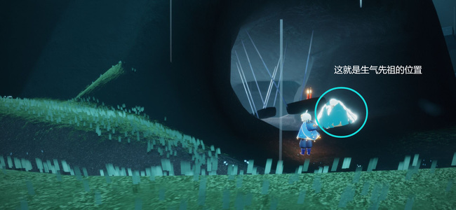 光遇手游雨林生气先祖在哪里_光遇雨林生气先祖寻觅之旅