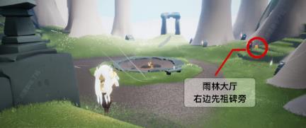 雨林所有蜡烛的位置分别在哪里需要搭配地点图_雨林蜡烛位置分布图光遇手游