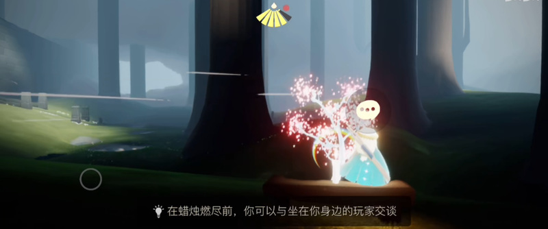 光遇手游雨林的赏花任务在哪