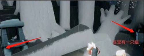 光遇手游云野举蝴蝶先祖在哪里_光遇手游寻访蝴蝶先祖的奇妙之旅