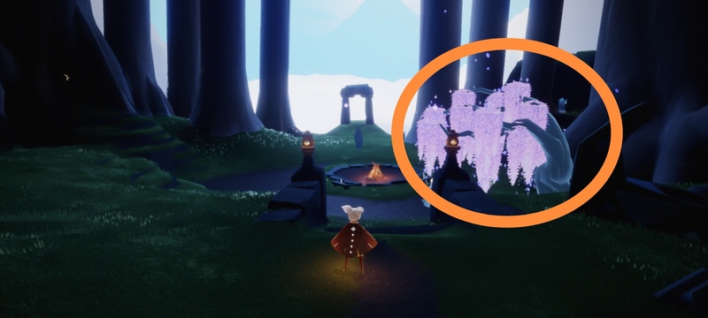 光遇手游花之日向导什么时候出现_光遇手游何时出现花之日导