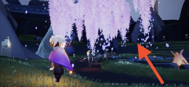 光遇手游的樱花树为什么没了_光遇手游樱花树的消失之谜