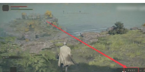 老头环罗亚果实哪里能买_在哪里购买艾尔登法环游戏中的罗亚果实