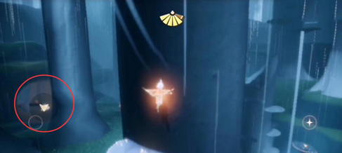 光遇手游雨林先祖位置地点在哪里_光遇手游寻找雨林先祖的位置