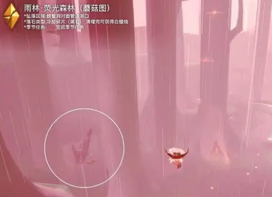 光遇手游雨林神殿红石在哪里_光遇雨林神殿红石下落何处