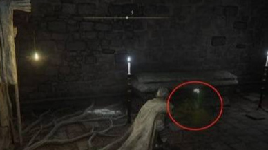 老头环 墓地铃兰哪里多_艾尔登法环哪里可以找到墓地铃兰