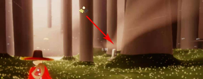 光遇手游雨林冥想怎么得心_光之遇见探索雨林冥想之路