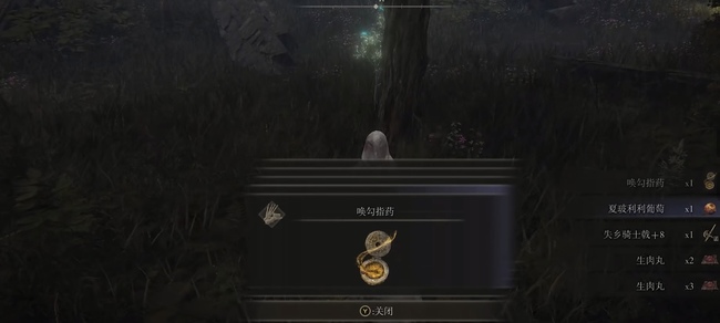 老头环支线怎么做_艾尔登法环支线攻略享受最佳游戏体验