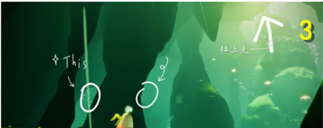 光遇手游表演季雨林光之翼16个位置在哪_光遇手游寻找光之翼16个位置