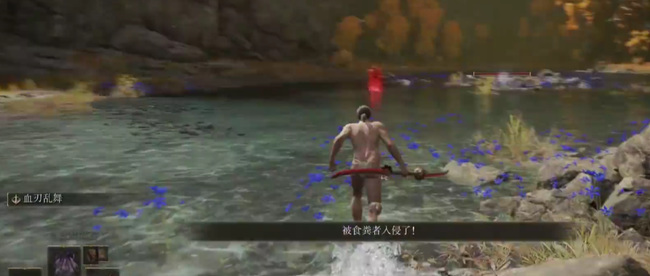 老头环食粪者骨灰怎么拿_如何在艾尔登法环中收集食粪者骨灰