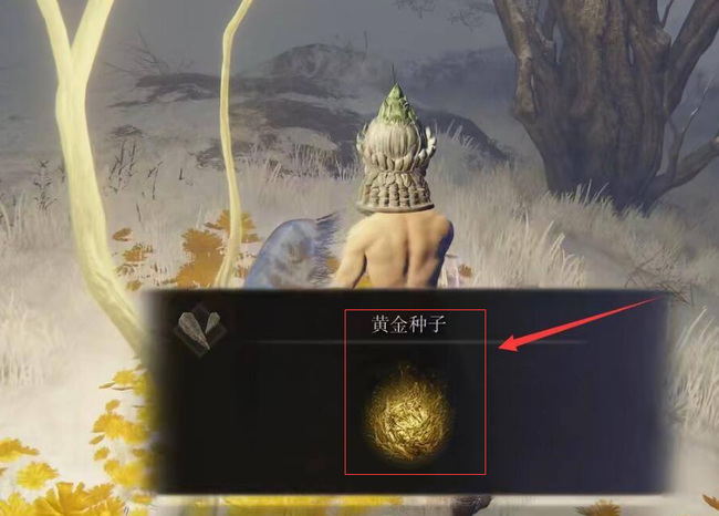 老头环黄金种子位置在哪_找到艾尔登法环黄金种子在游戏中的位置