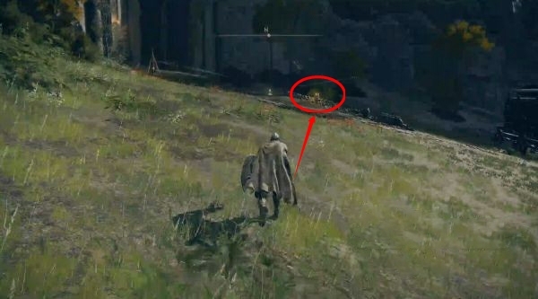 老头环什么时候能升级加点