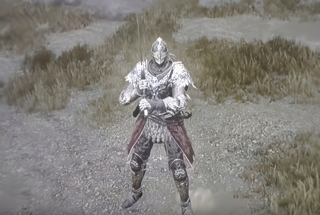 艾登法环怎么切双持