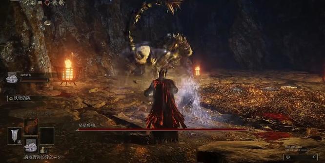 艾尔登法环坠星兽物怎么打_老头环坠星兽物攻略导览