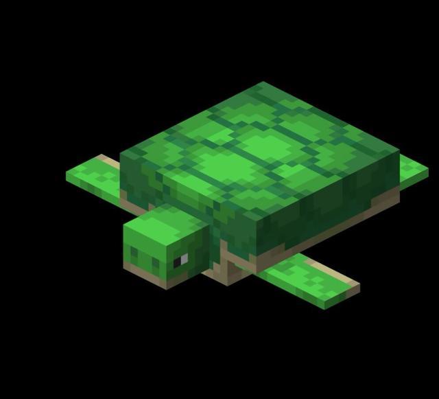 mc我的世界海龟怎么繁殖