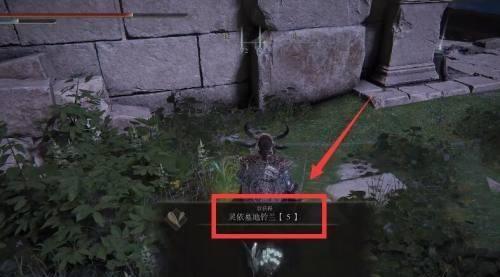 老头环灵依墓地铃兰5哪里刷_艾尔登法环如何快速刷取墓地铃兰5