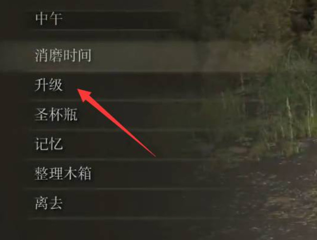 老头环怎么加点