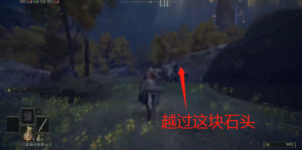 老头环落叶花在哪捡_艾尔登法环中落叶花在何处获得