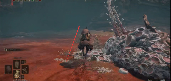 老头环盖利德怎么进去_如何进入艾尔登法环盖利德