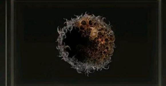 老头环有几个大卢恩_艾尔登法环游戏中有多少个大卢恩