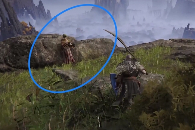 老头环葡萄给谁