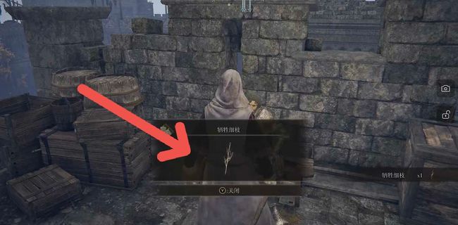 老头环主线支线顺序是什么_艾尔登法环游戏主线和支线顺序解析