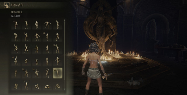 老头环改宗塔边境怎么进_艾尔登法环攻略塔边境进入游戏的必备指南