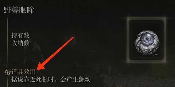 老头环野兽眼眸正在颤动是什么意思