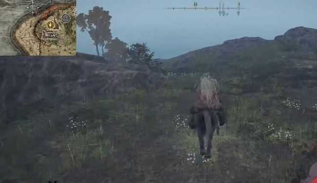 老头环黄金鸟爪持续时间是多久_艾尔登法环游戏中黄金鸟爪的持续时间为多久