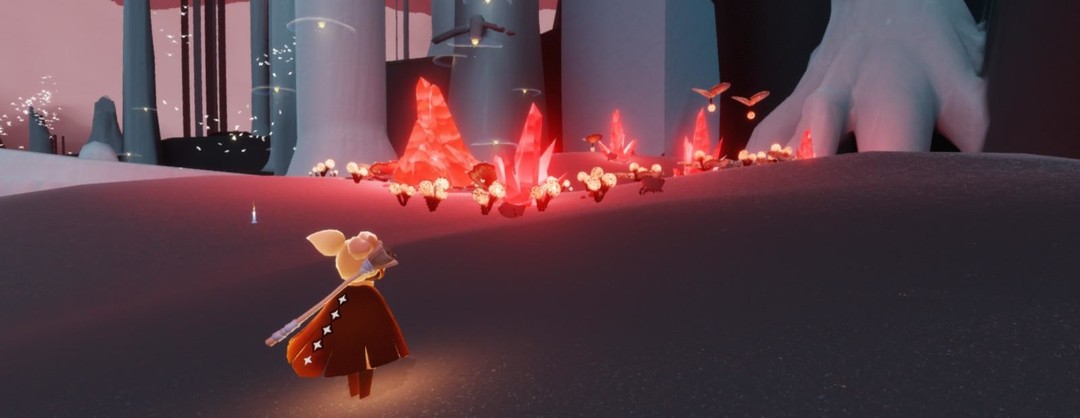 光遇手游雨林净化任务在哪做_光遇手游中的雨林净化任务地点