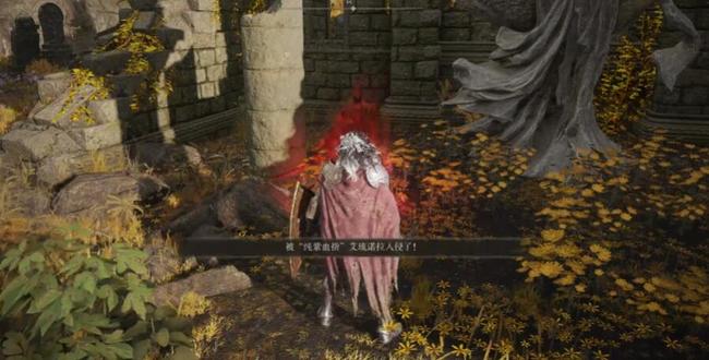 老头环纯紫血指怎么打