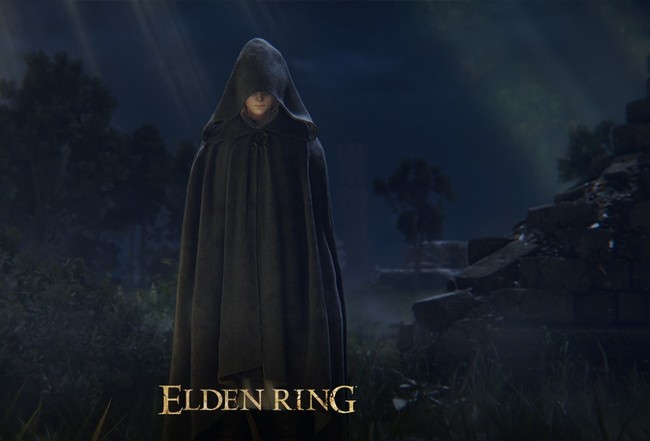 老头环可以全程联机吗