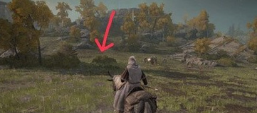 老头环怎么快速赚钱_在艾尔登法环游戏中如何快速赚取金币