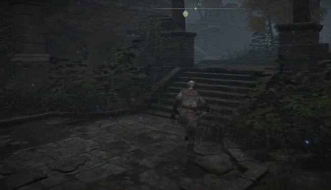 老头环禁卫骑士罗蕾塔在哪_寻找罗蕾塔艾尔登法环世界中的卫骑士