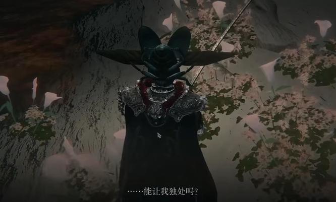 老头环癫火怎么去除_消除艾尔登法环的方法