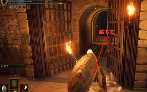 艾尔登法环王城下水道有几个boss_老头环王城下水道的游戏中有几个Boss